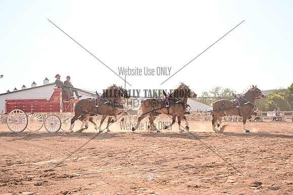 AJB_8763
