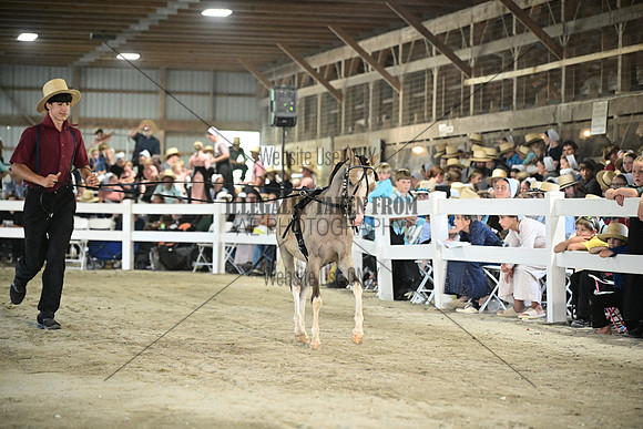AJB_0366