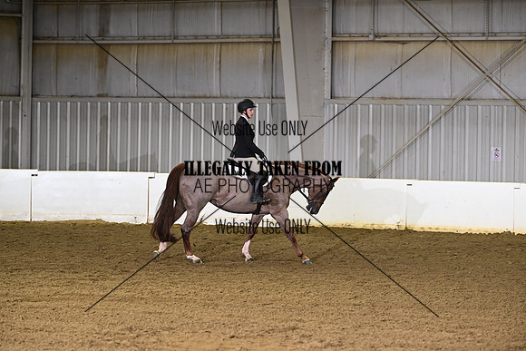 ASH_4131