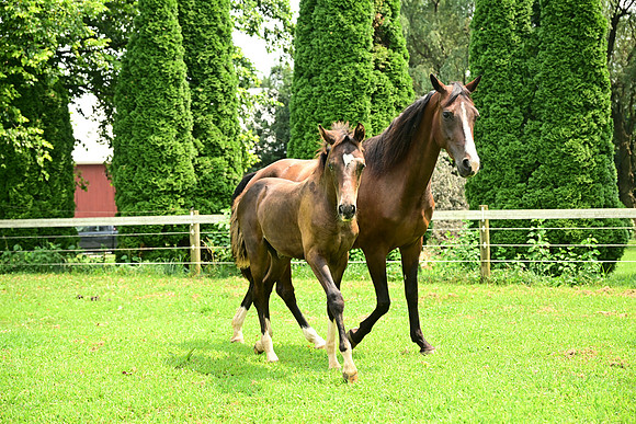 AJB_4767