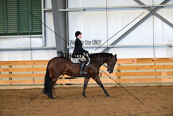ASH_1539