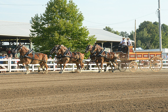 Six Horse Hitch-5