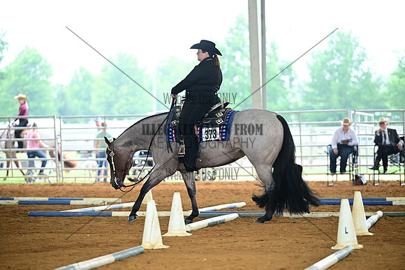AJB_0797