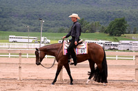 AJB_4742