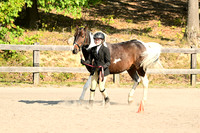AJB_0311