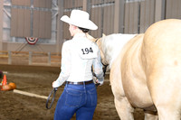 12. All Breed 2 & under In-Hand Trail