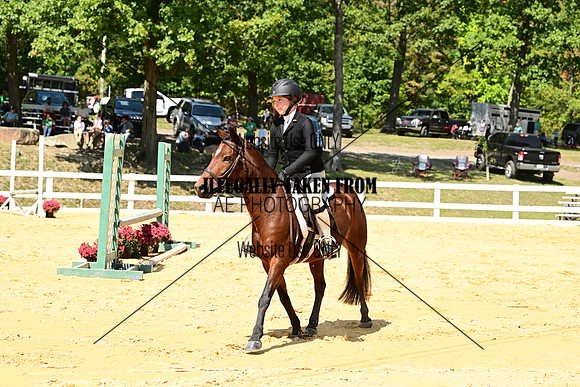 AJB_0747