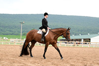 AJB_6784