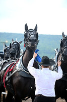 AJB_0556