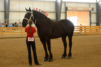 Sr. Youth Showmanship-18