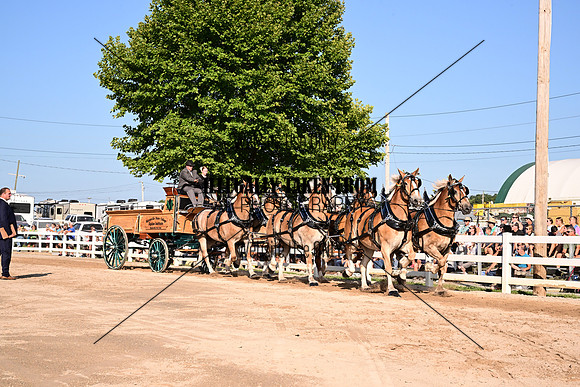 AJB_7991
