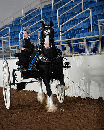 shires_5851