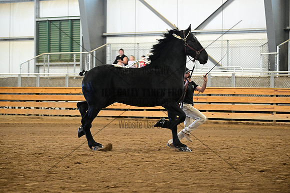 AJB_9868