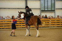 Open Riding English_wtc-14