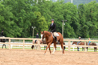 AJB_6855