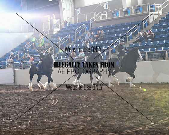 shires_6340