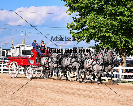 WMP_5184