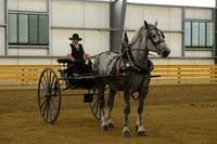 Men’s Cart_percherons-16