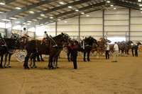Four Horse Hitch-20