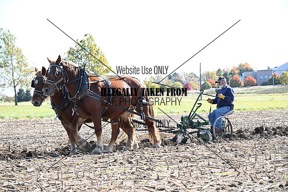 ASH_0361