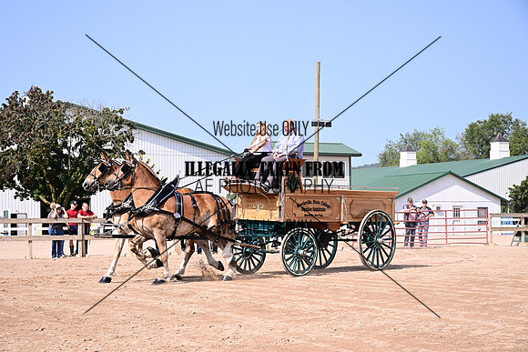 AJB_6094