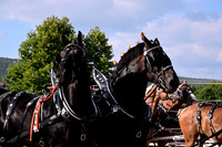AJB_5187