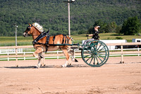 AJB_4497