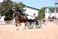 AJB_4641
