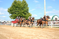 AJB_0494