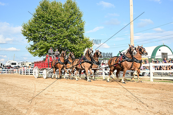 AJB_0494