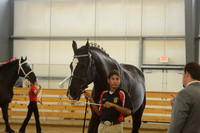 Sr. Youth Showmanship-11