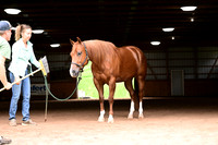 AJB_3634