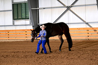 215. Level 1 Youth Performance Geldings