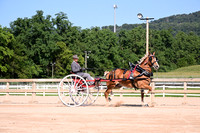 AJB_4621
