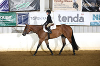 75. L1 Youth Walk Trot HUS