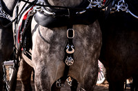 AJB_5191