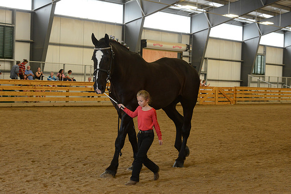 Jr. Youth Showmanship-52