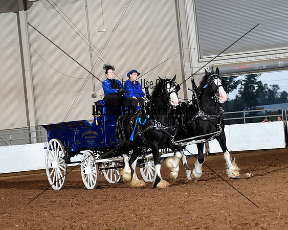 Shires_5056