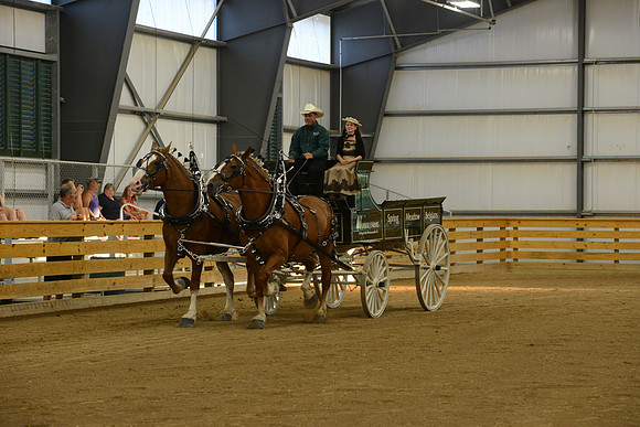 Mare Team-3