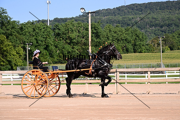 AJB_4404