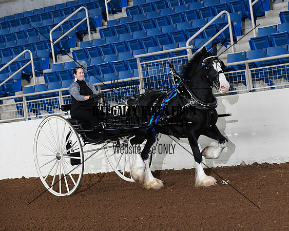 shires_5835