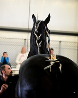 HCR_4363