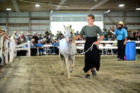 AJB_0087
