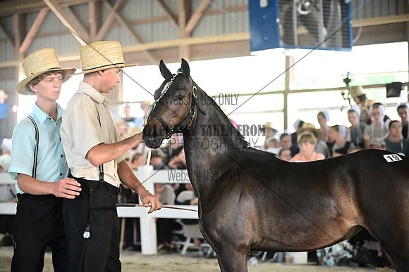 AJB_0187