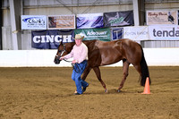 33 Amateur Performance Mares
