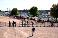 AJB_4653