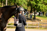 AJB_0250