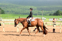 AJB_6545