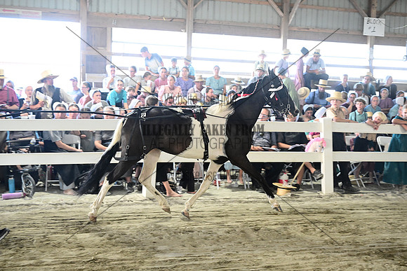 AJB_0224