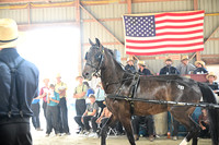 AJB_0683